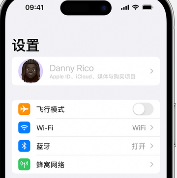 七坊镇appleID维修服务iPhone设置中Apple ID显示为灰色无法使用