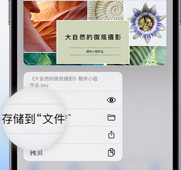 七坊镇apple维修中心分享iPhone文件应用中存储和找到下载文件