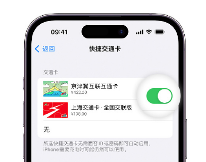 七坊镇apple维修点分享iPhone上更换Apple Pay快捷交通卡手绘卡面 