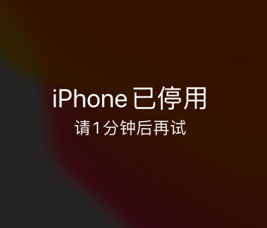 七坊镇苹果手机维修分享:iPhone 显示“不可用”或“已停用”怎么办？还能保留数据吗？ 