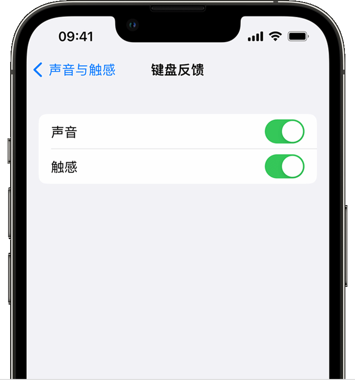 七坊镇苹果14维修店分享如何在 iPhone 14 机型中使用触感键盘 