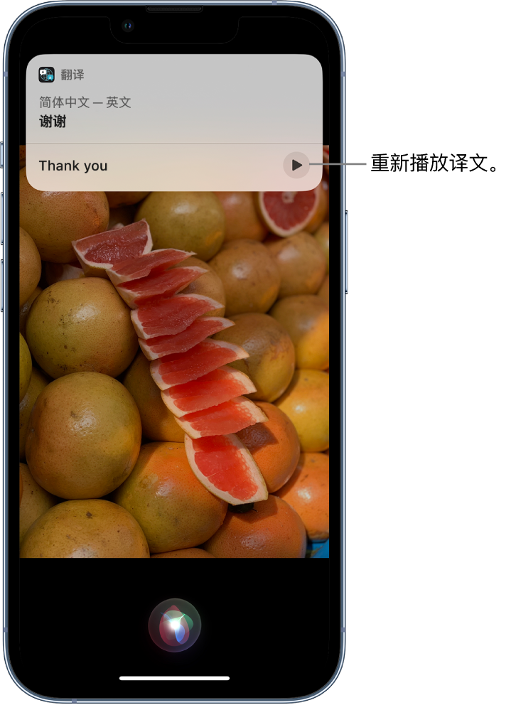 七坊镇苹果14维修分享 iPhone 14 机型中使用 Siri：了解 Siri 能帮你做什么 