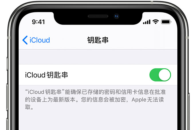 七坊镇苹果手机维修分享在 iPhone 上开启 iCloud 钥匙串之后会储存哪些信息 